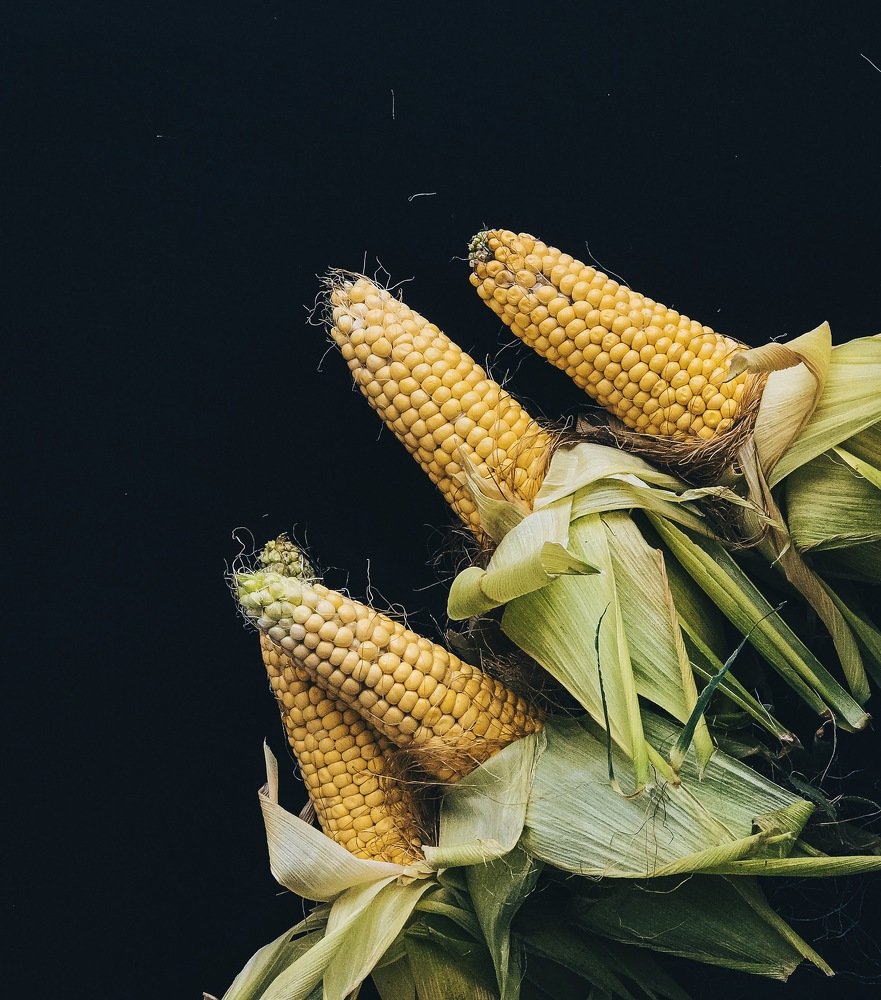 Початки кукурузы