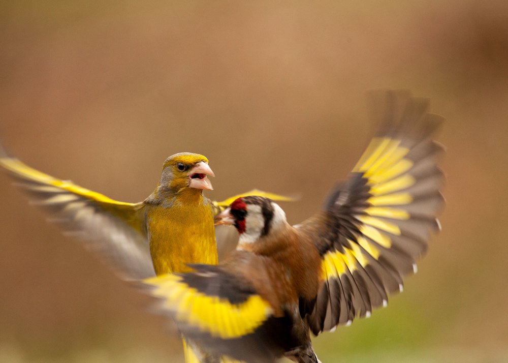 Photograph by Fero Daniska