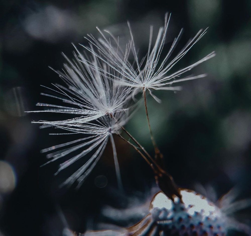 Трое против всех