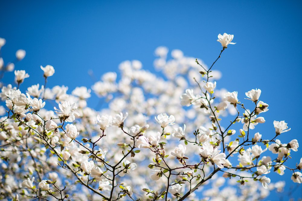 Photograph by Юлия Борт