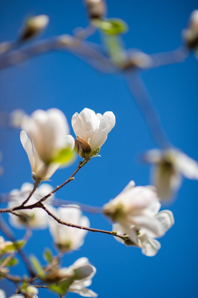 Photograph by Юлия Борт