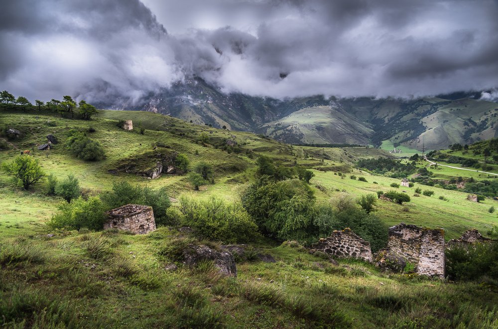 Фотография автора Светлана Морозова