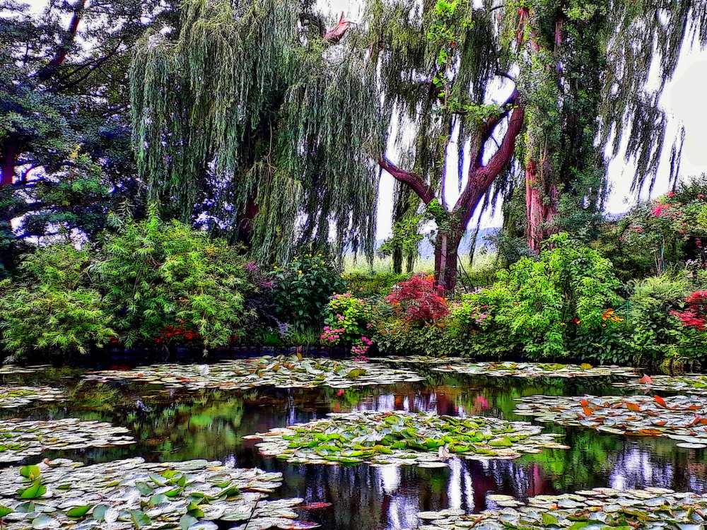 Photograph by Josep M. Bove Veciana