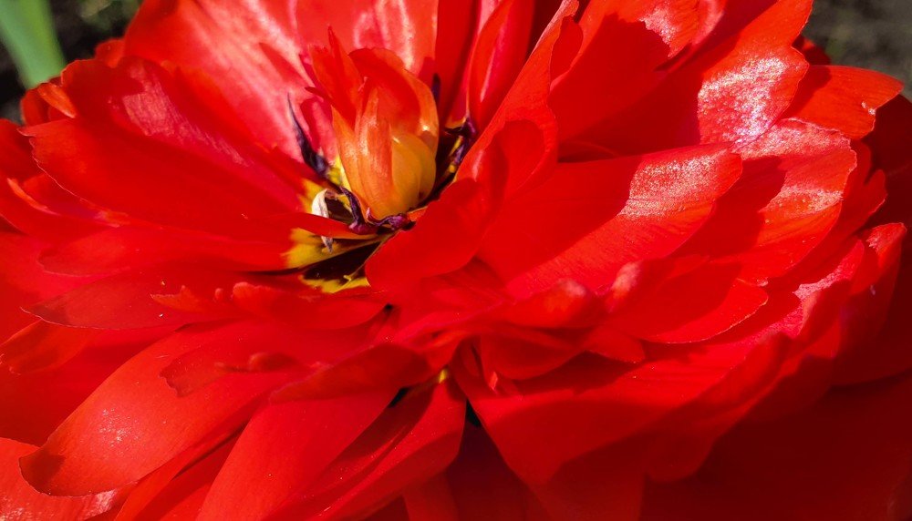 Photograph by mikhail goryachev