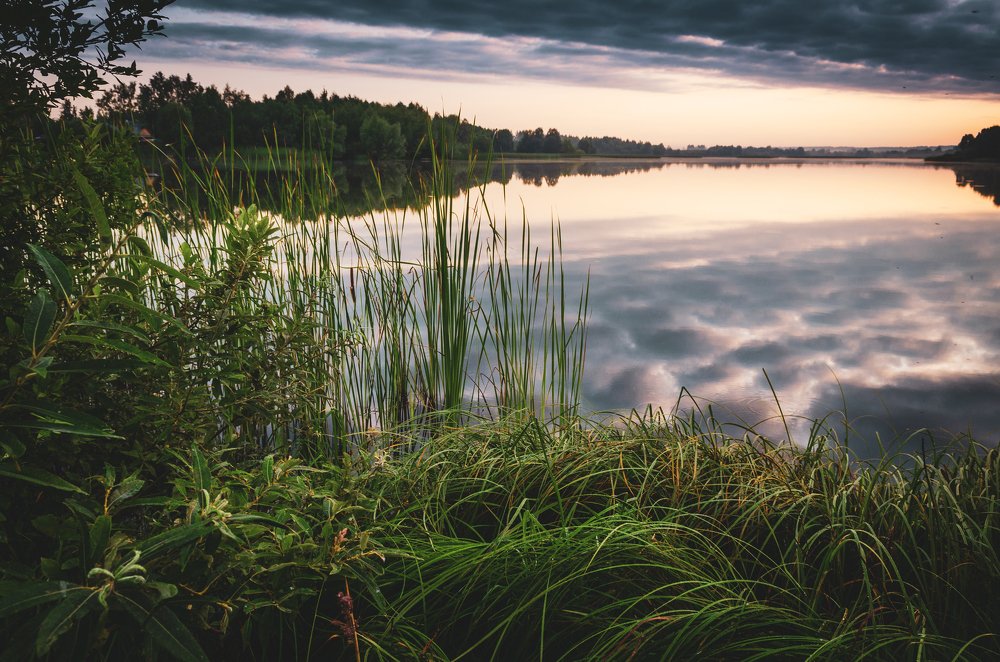 Photograph by Михаил Киселев