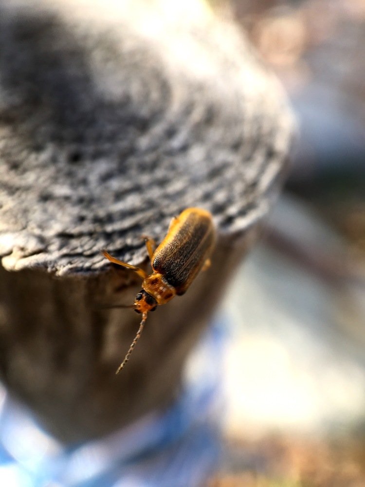 Этот огромный мир