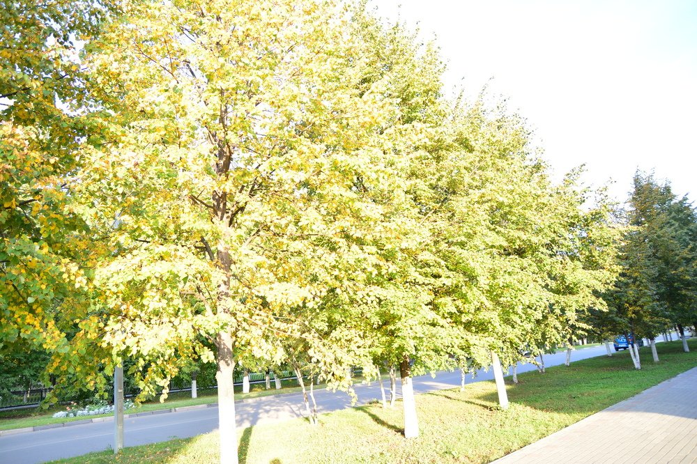Photograph by Гульнар