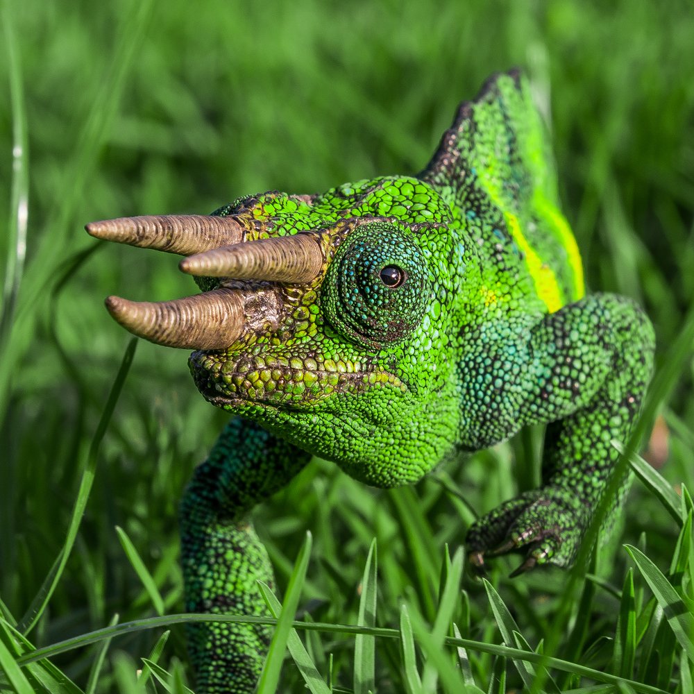 Haven´t We Met Before?