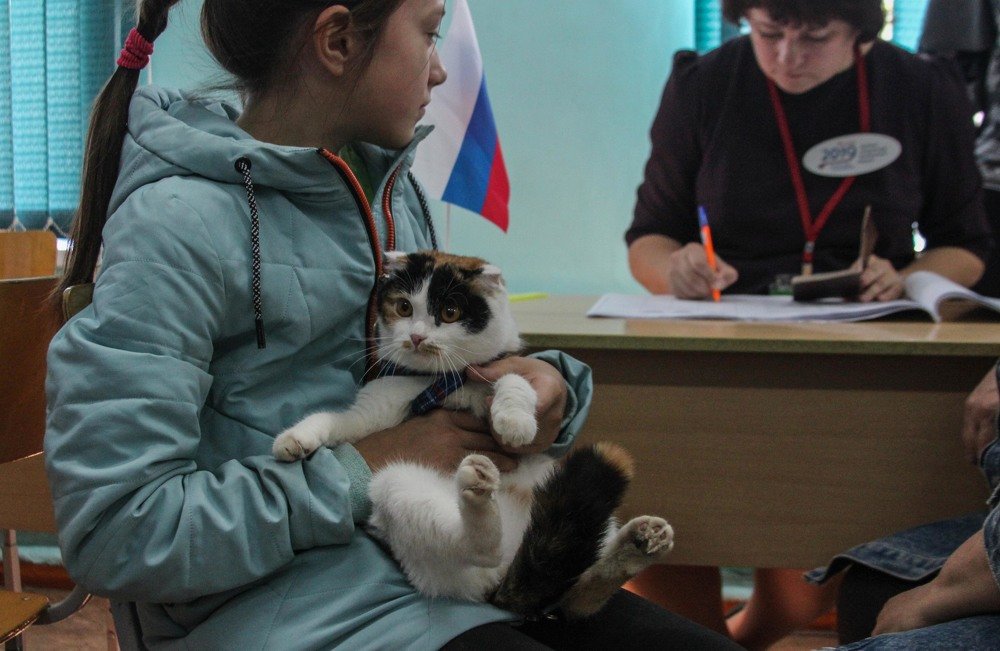 Photograph by Алексей Сыров