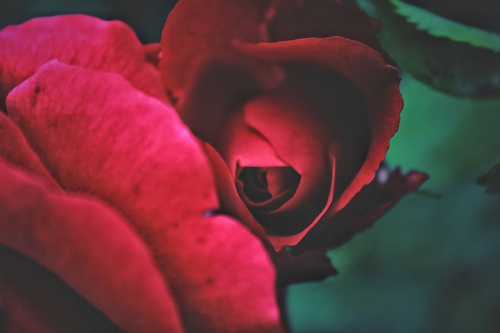 Фотография автора Найденова Алина