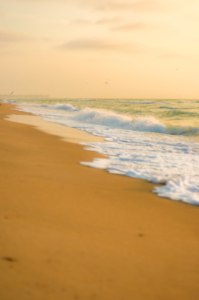 Photograph by Олександр Дмитрук