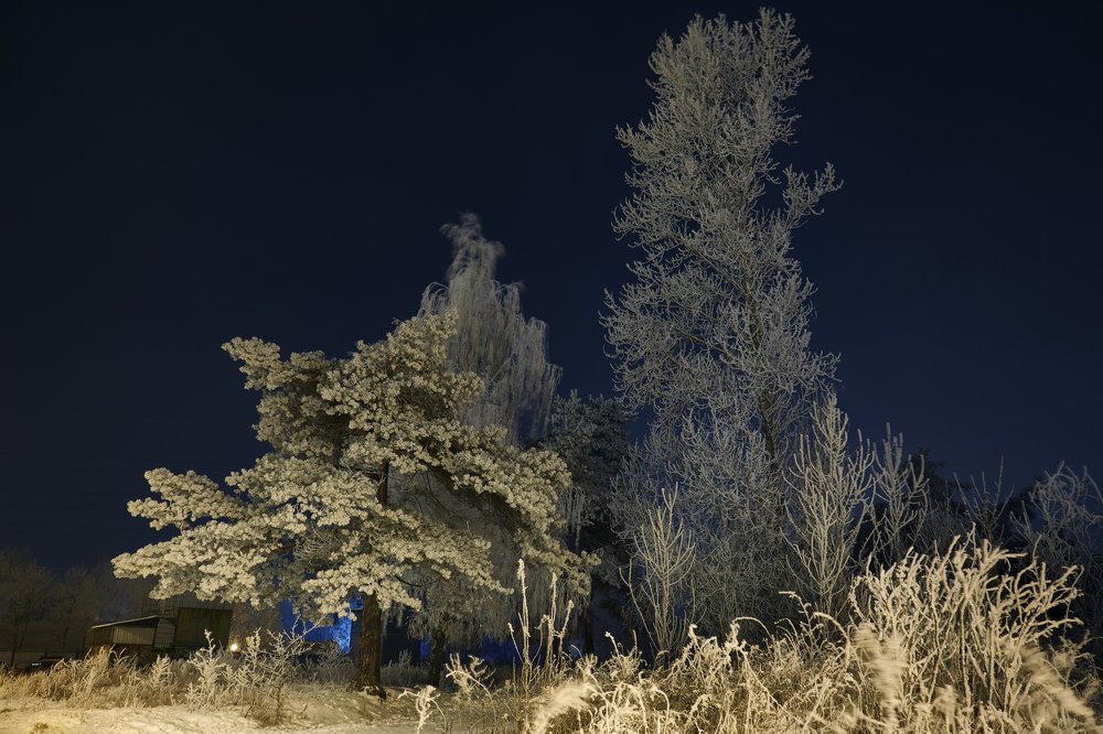 Зимнее волшебство