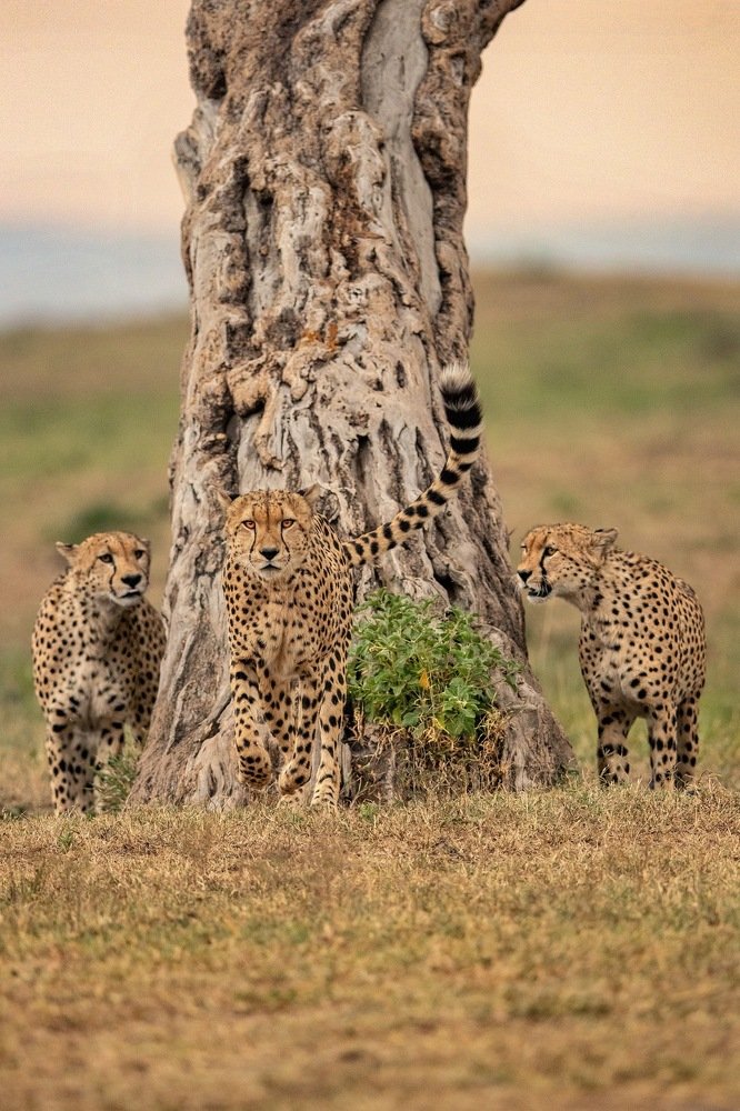 Photograph by Kalyan Chakraborty