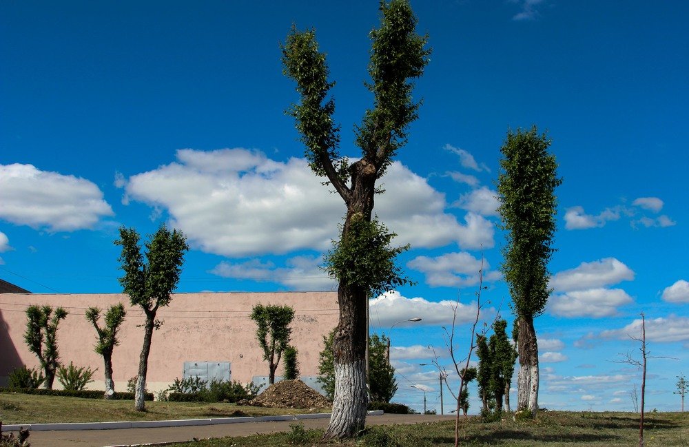 Photograph by Алексей Сыров