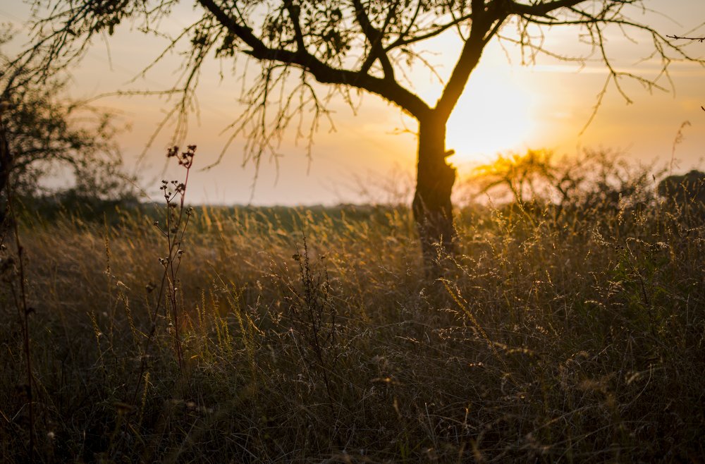 Photograph by Олександр Дмитрук