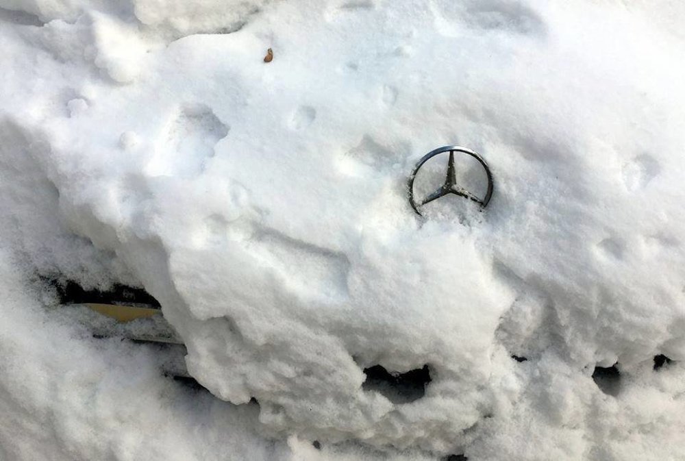 Подснежник.