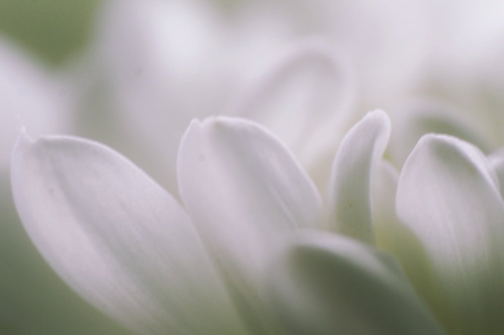 Фотография автора Найденова Алина