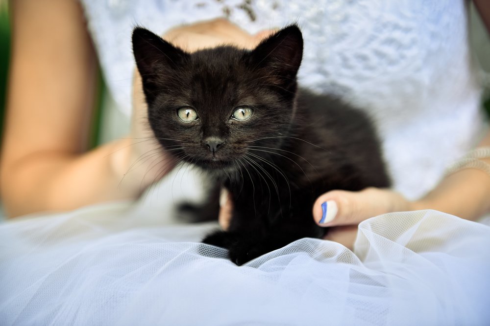 Photograph by Гузель Мирошкина