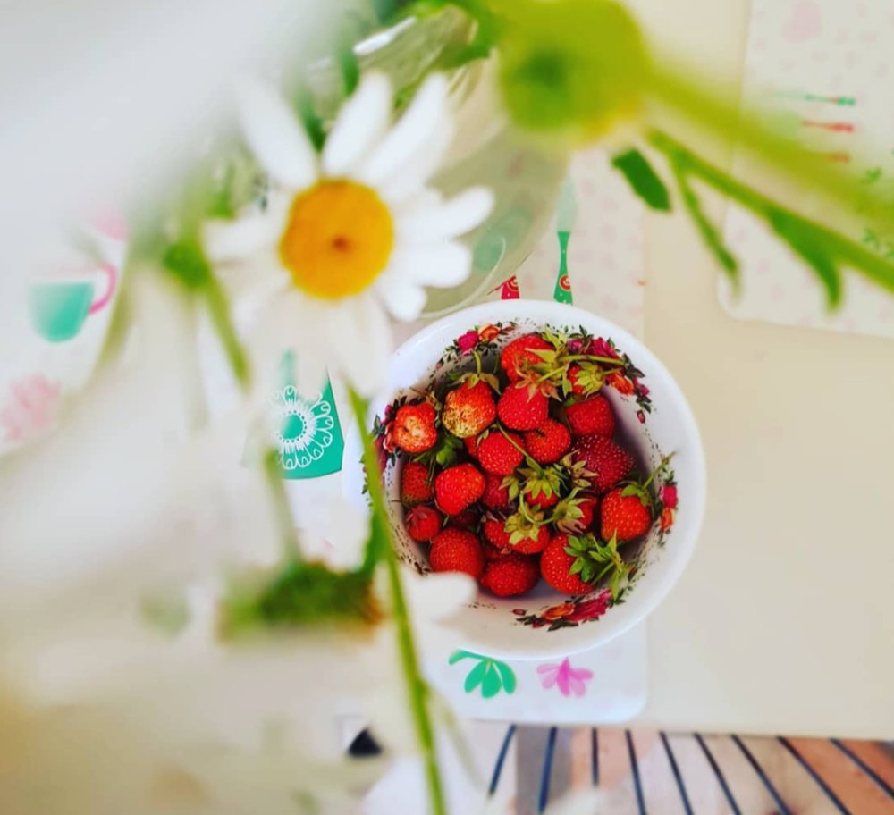 Photograph by Елена Руснак