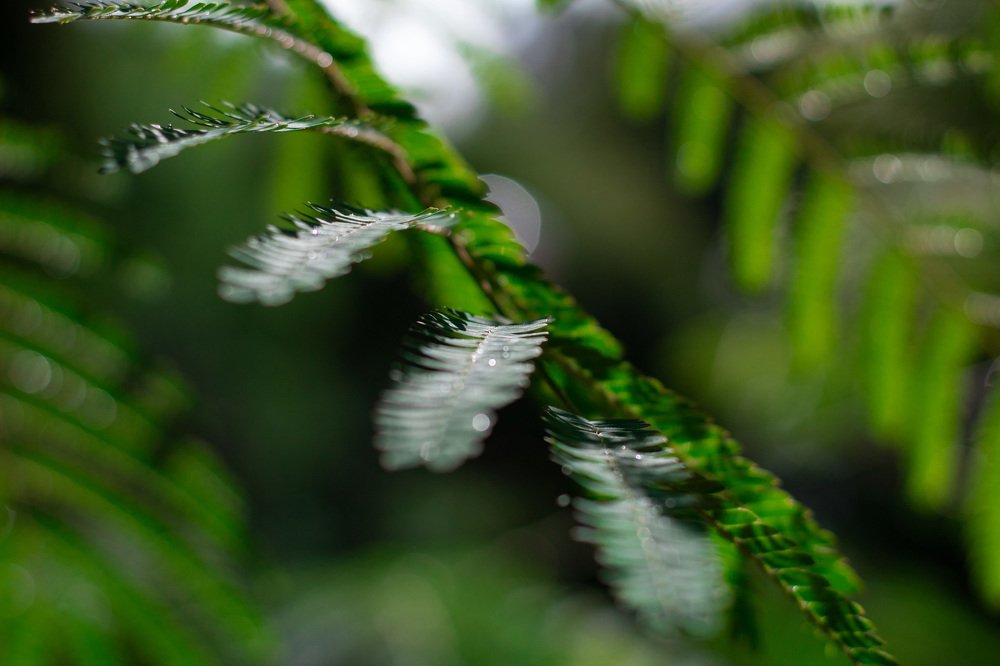 Photograph by Валерия Шарифова