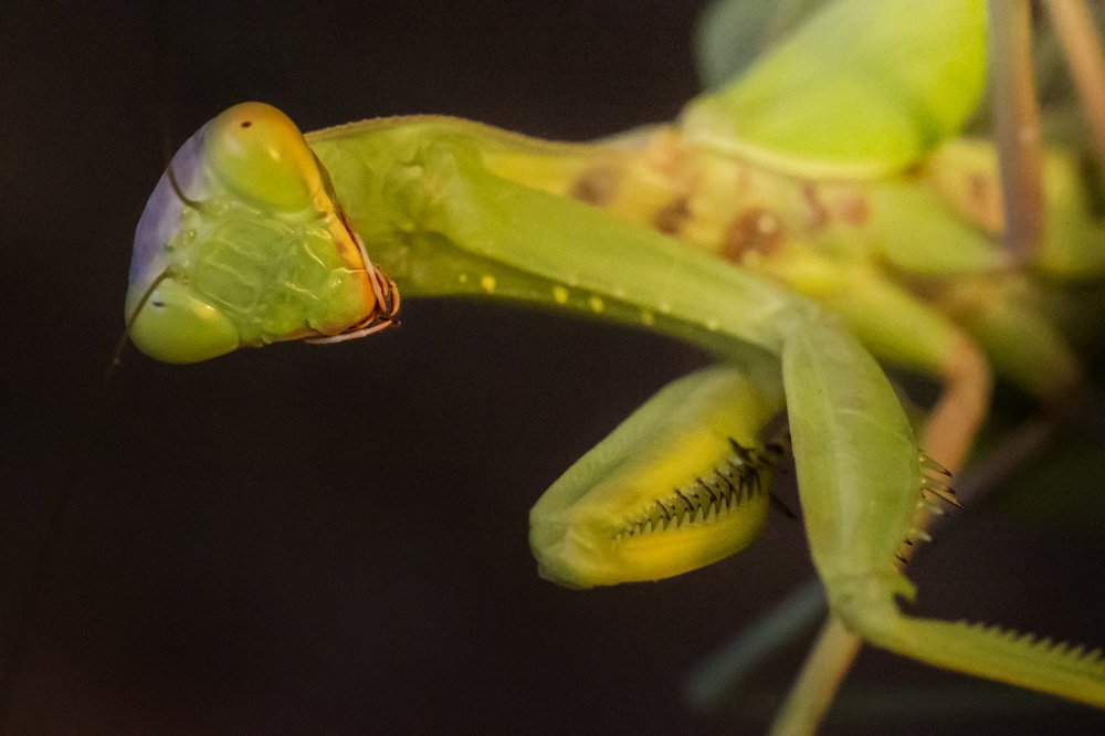 Photograph by Мария Самохина