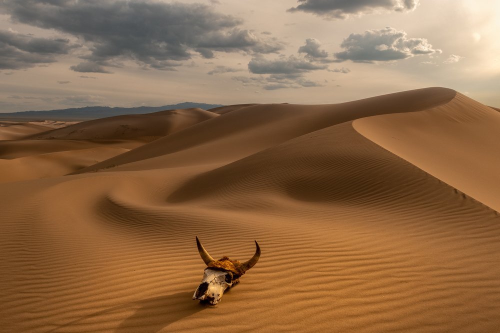 Монголия. Гоби