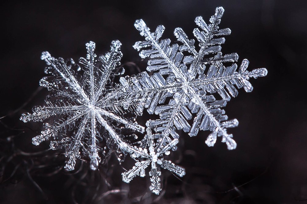 Photograph by Александр Рындин