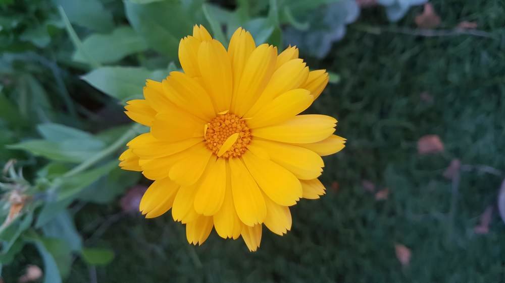 Photograph by Мария Глотова