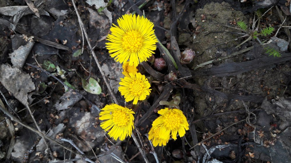 Photograph by Мария Глотова