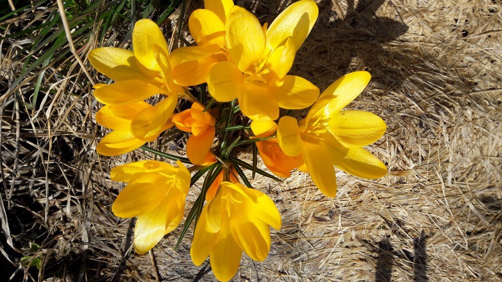 Photograph by Мария Глотова