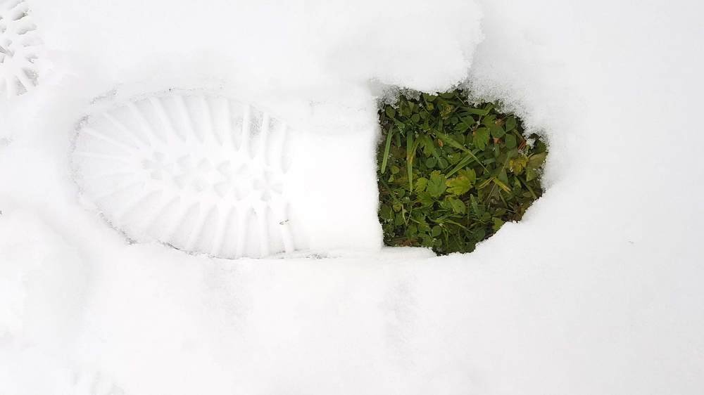 Photograph by Мария Глотова