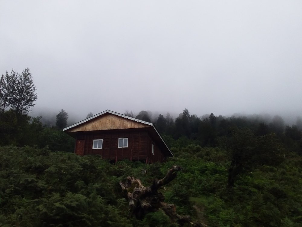 Photo #3593000
