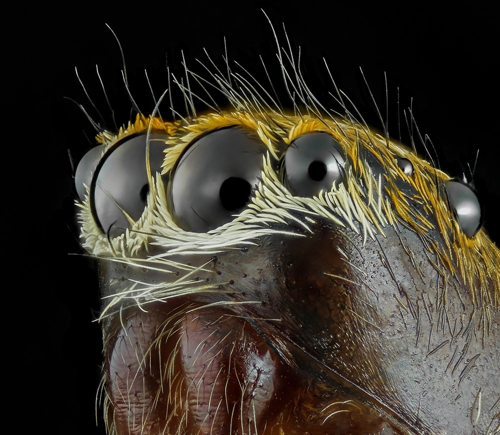 Photograph by Riyad Hamzi