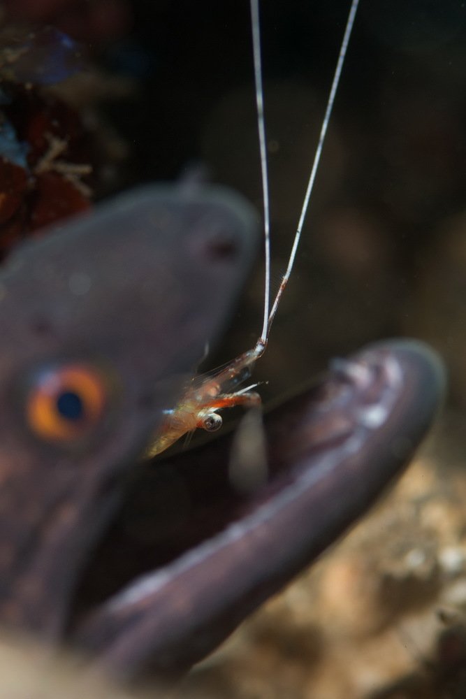 Photograph by Kirill