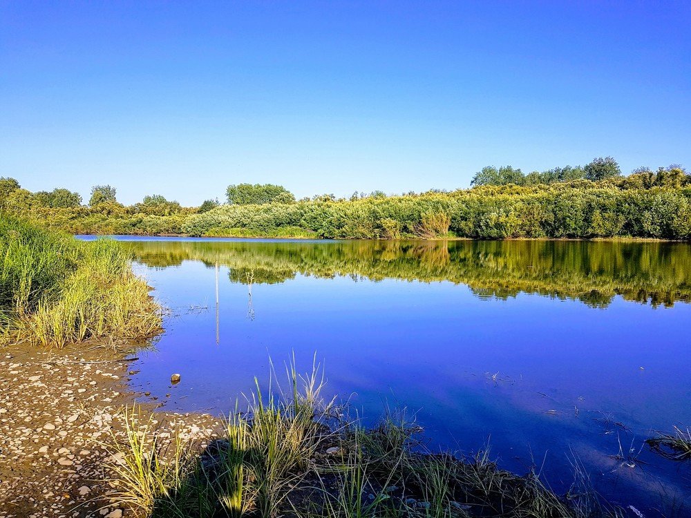 Photograph by Мария Глотова