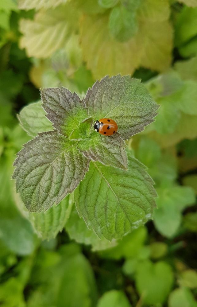 Photograph by Мария Глотова