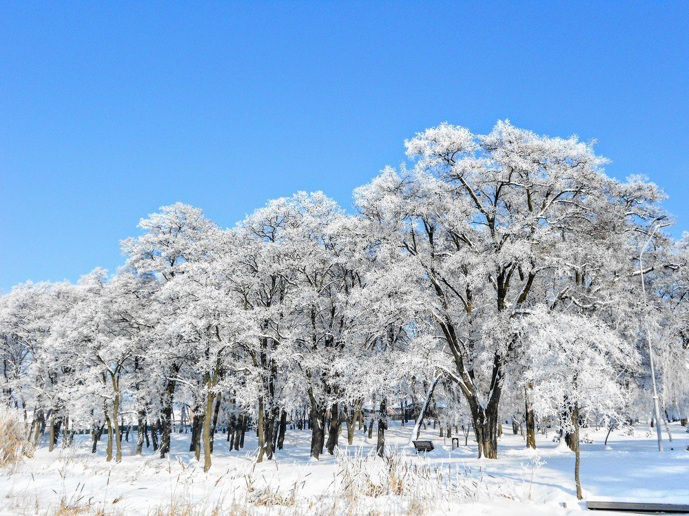 Photograph by Денис Лащ