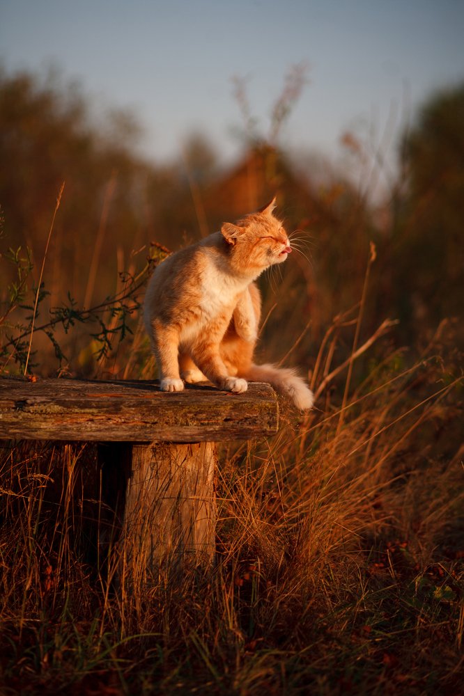 Photograph by Юлия