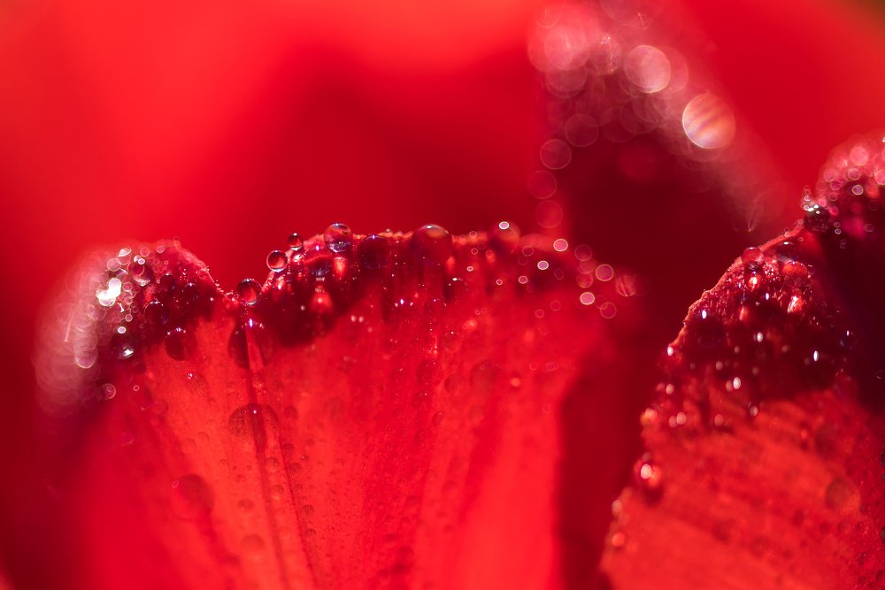 Стрелы любви