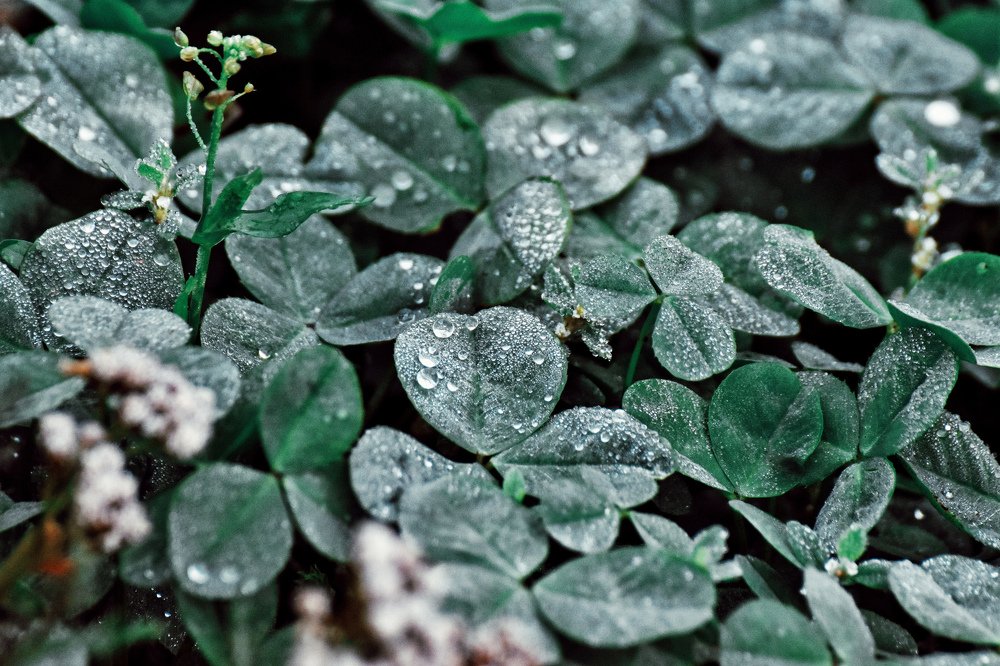 Photograph by Амир Гильмутдинов