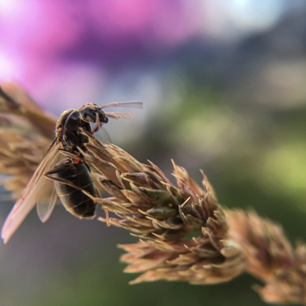 Photograph by Кристина Ковальчук