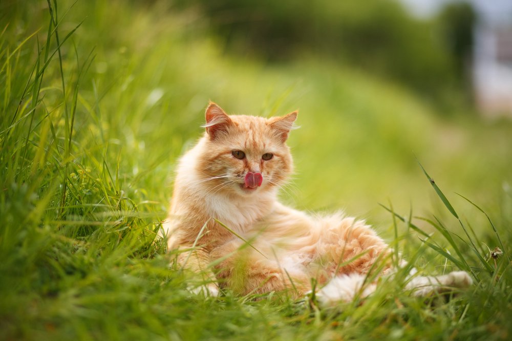 Photograph by Юлия