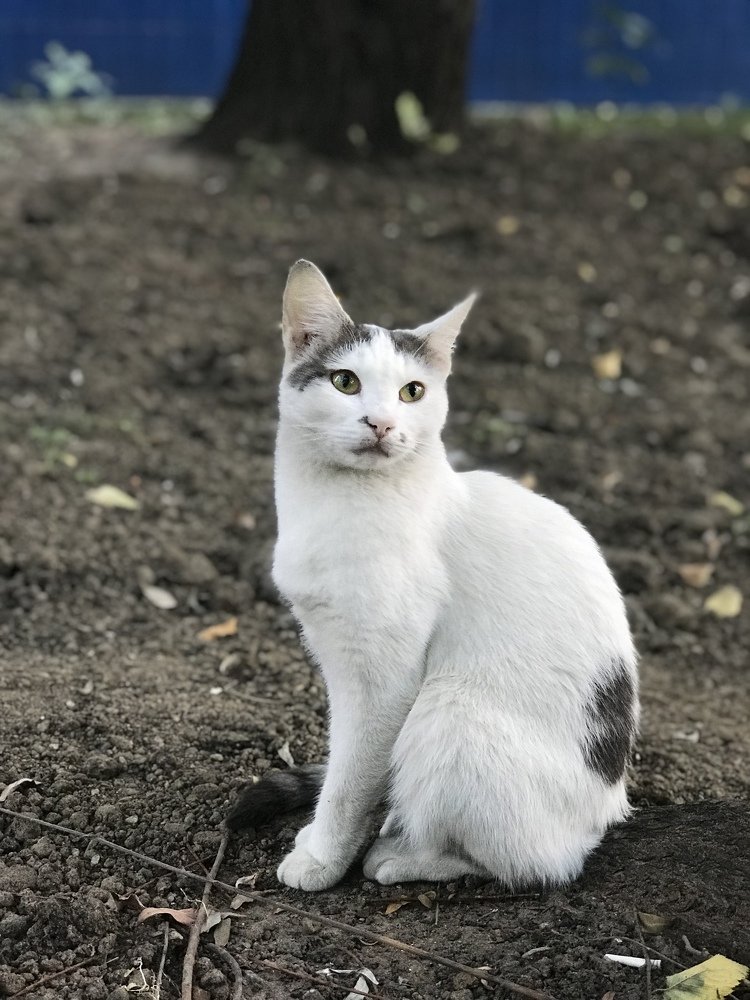 Photograph by Оксана Смирнова