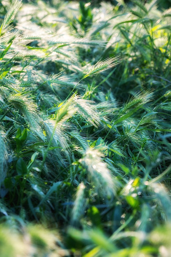 Photograph by Данил Мандрыгин