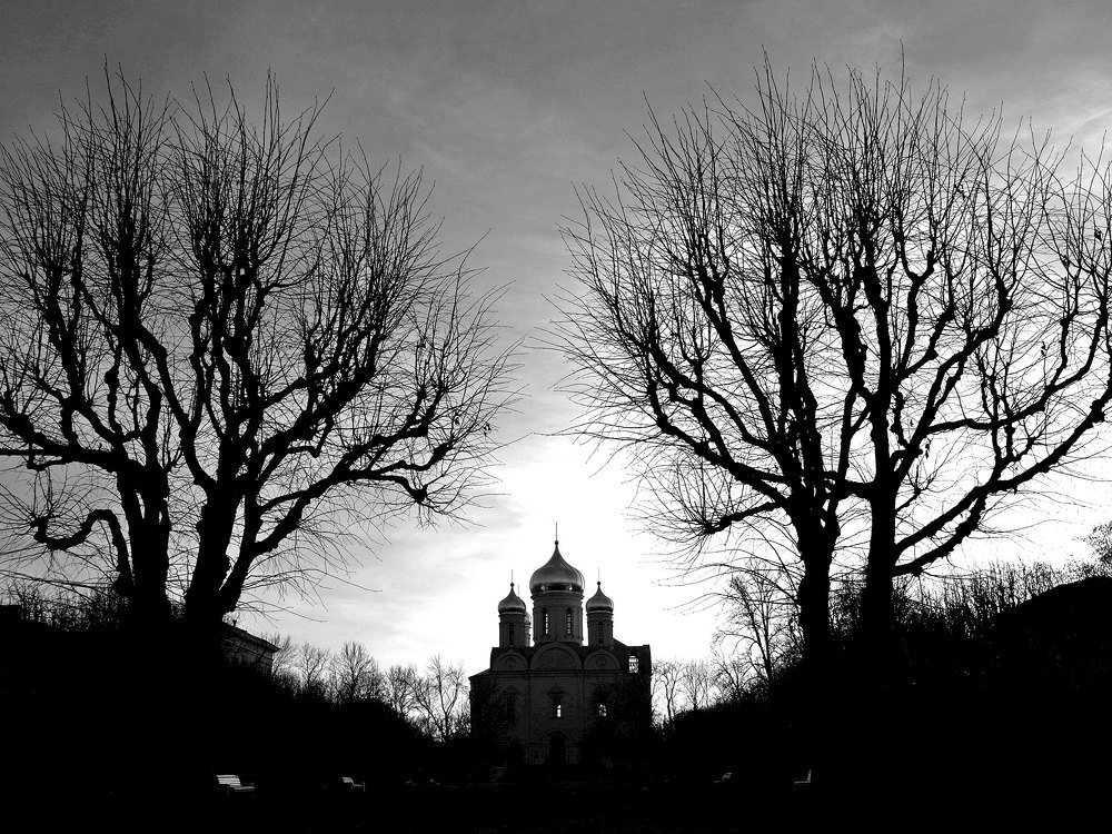 Фотография автора Александр Далла