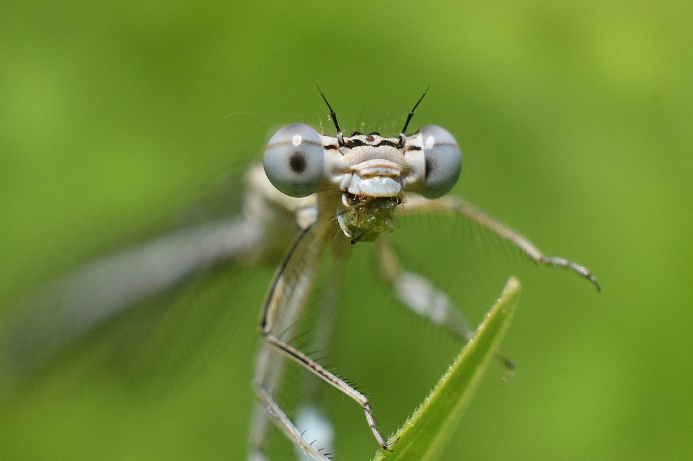 Photograph by Виктория Быканова