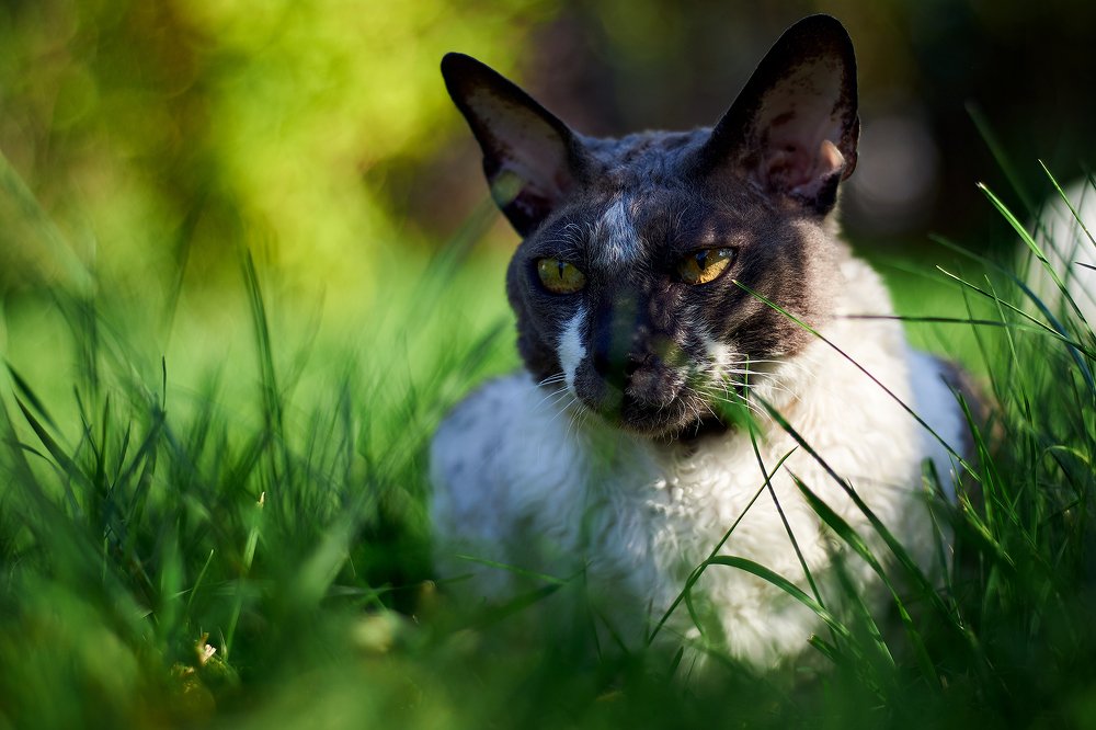 Фотография автора Иван Юркевич