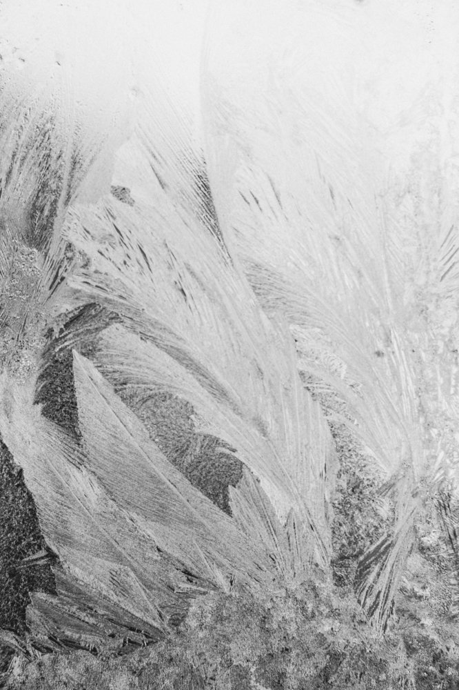 Мороз художник