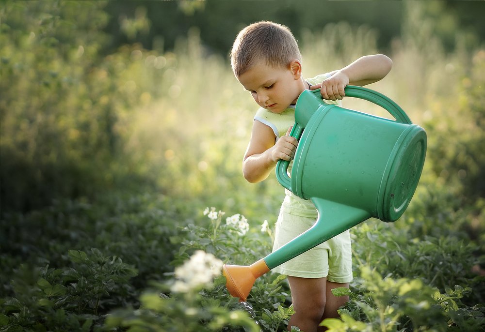 Photograph by Инна Соколова