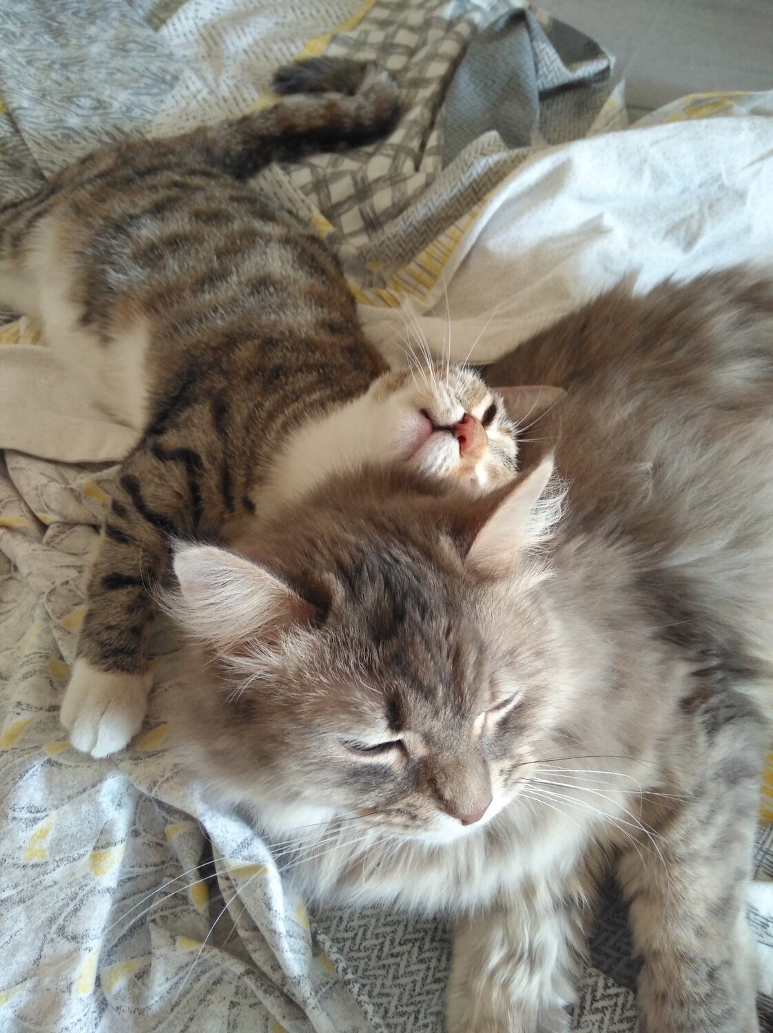 Cassiopeia & Tisha